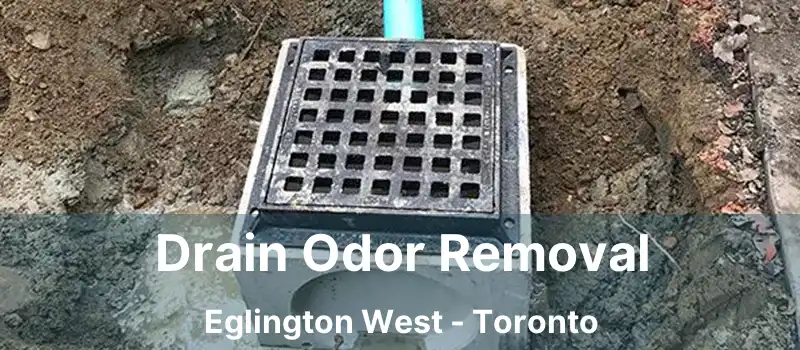  Drain Odor Removal Eglington West - Toronto