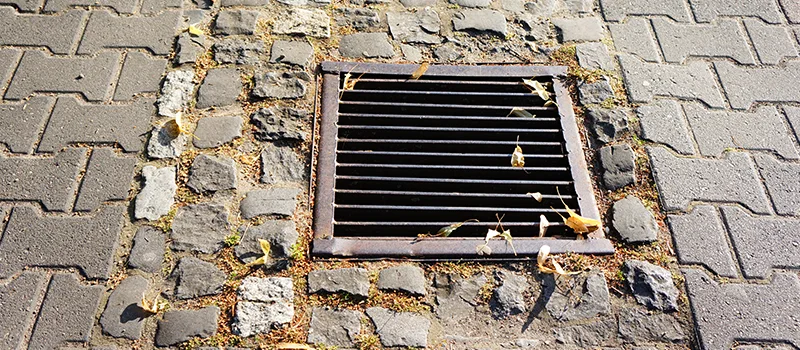 Catch Basin Installation and Maintenance in Eglington West, Toronto